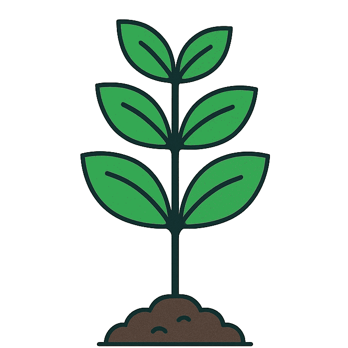 Mature tree Enterprise